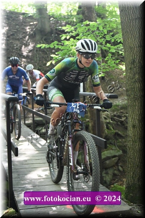 Náhled obrázku: 2024-2013-Caledna-13.JPG