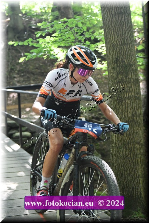 Náhled obrázku: 2024-2023-Caledna-12.JPG