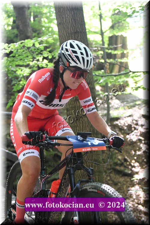 Náhled obrázku: 2024-2074-Caledna-46.JPG