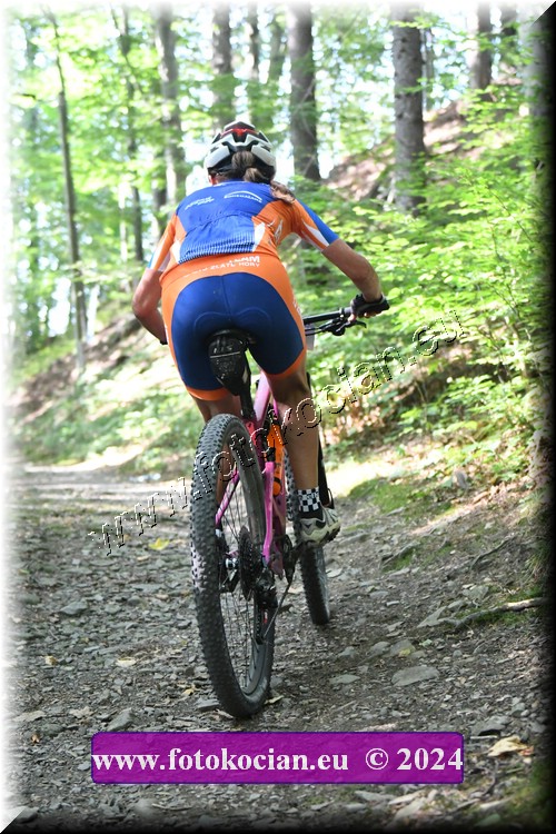 Náhled obrázku: 2024-2180-Caledna-50.JPG