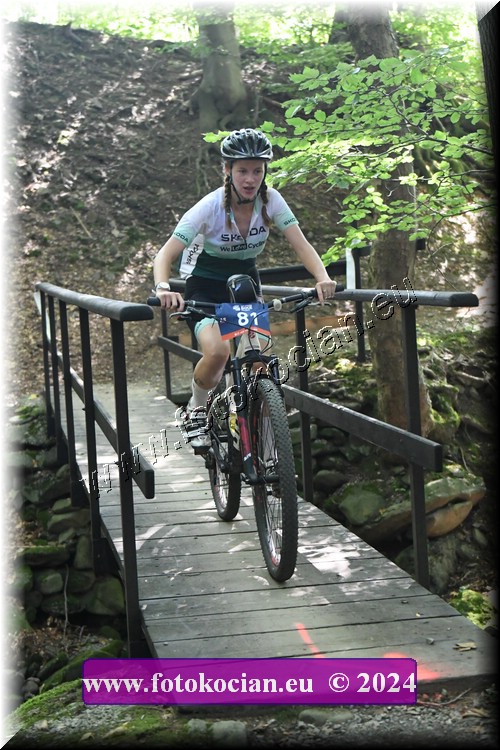 Náhled obrázku: 2024-2199-Caledna-81.JPG