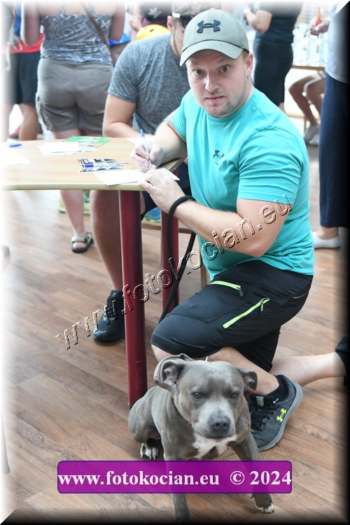 Náhled obrázku: 2024-2346-Caledna-.JPG