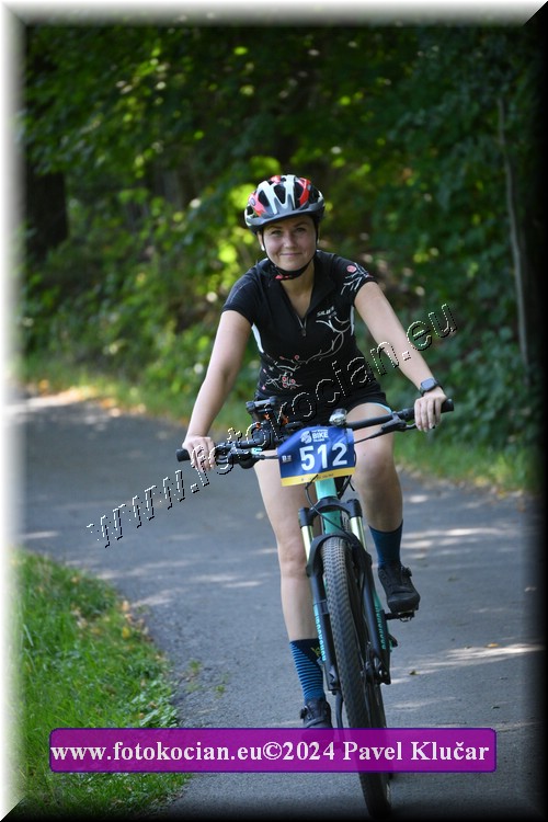 Náhled obrázku: 2024-3083-Caledna-512.JPG