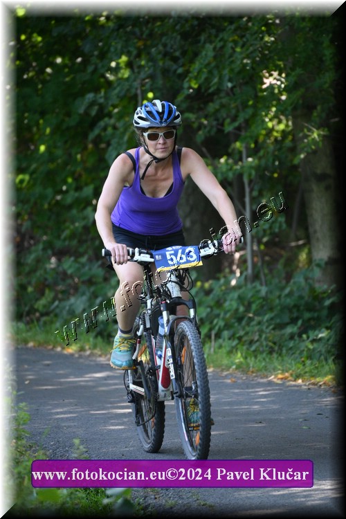 Náhled obrázku: 2024-3091-Caledna-563.JPG