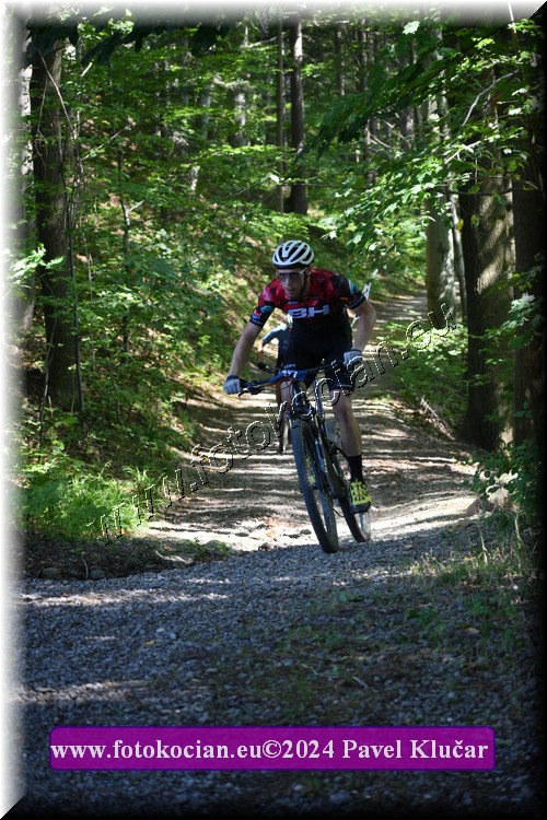 Náhled obrázku: 2024-3133-Caledna-57,0.JPG