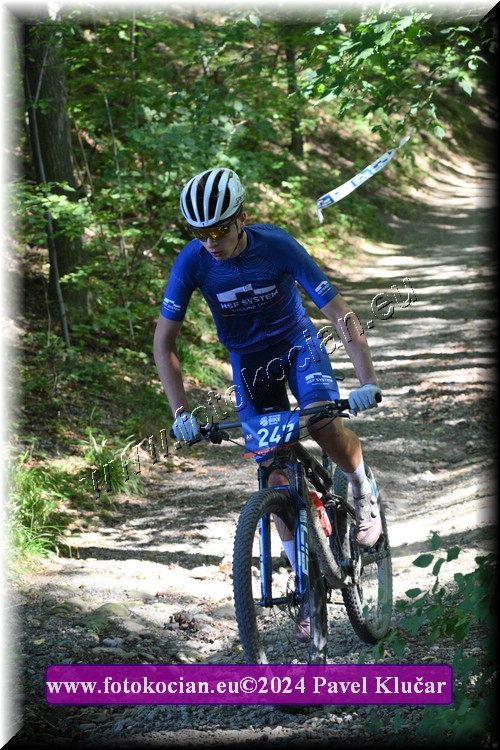 Náhled obrázku: 2024-3138-Caledna-247.JPG