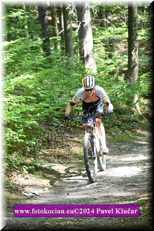 Náhled obrázku: 2024-3147-Caledna-25.JPG