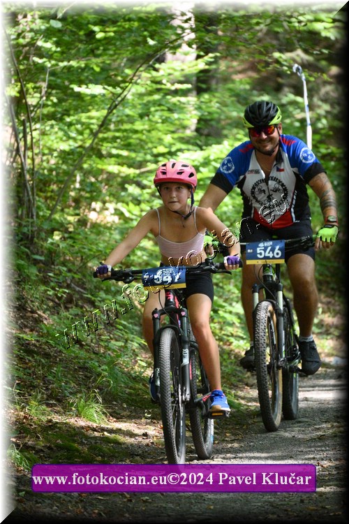 Náhled obrázku: 2024-3152-Caledna-547,546.JPG