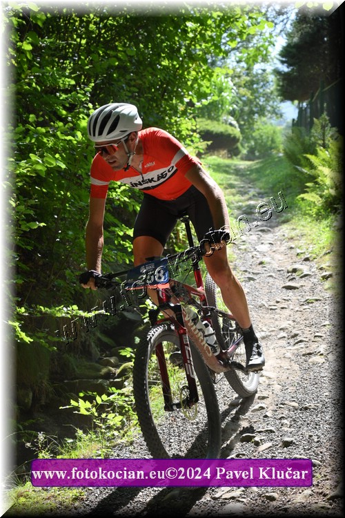 Náhled obrázku: 2024-3196-Caledna-258.JPG