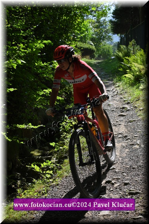 Náhled obrázku: 2024-3237-Caledna-198.JPG