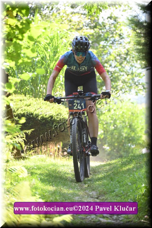 Náhled obrázku: 2024-3246-Caledna-241.JPG