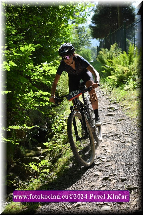 Náhled obrázku: 2024-3285-Caledna-125.JPG