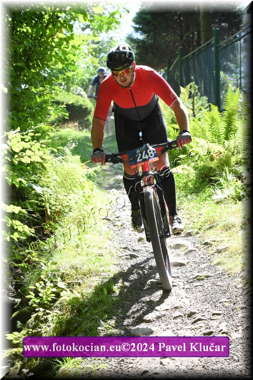 Náhled obrázku: 2024-3309-Caledna-248.JPG