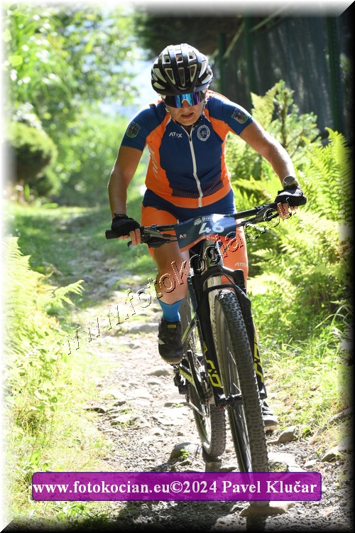 Náhled obrázku: 2024-3326-Caledna-46.JPG