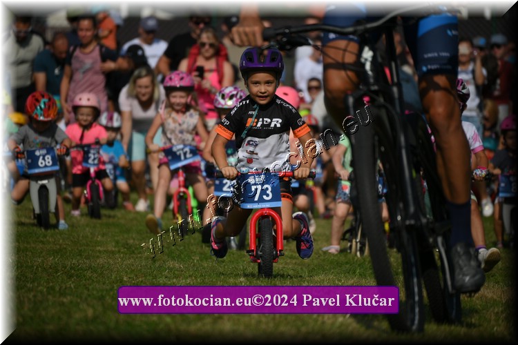 Náhled obrázku: 2024-2479-Caledna-.JPG