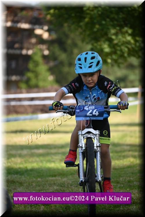 Náhled obrázku: 2024-2685-Caledna-.JPG