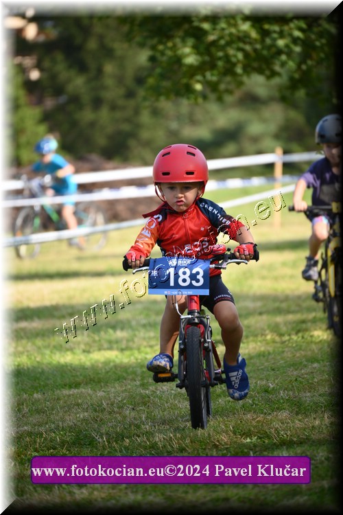 Náhled obrázku: 2024-2714-Caledna-.JPG