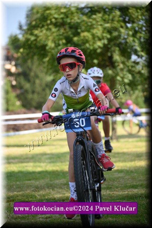 Náhled obrázku: 2024-2742-Caledna-.JPG