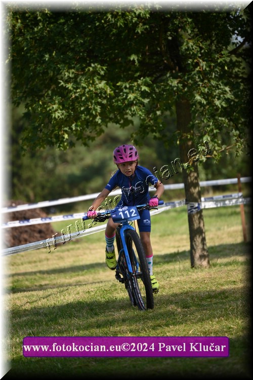 Náhled obrázku: 2024-2759-Caledna-.JPG