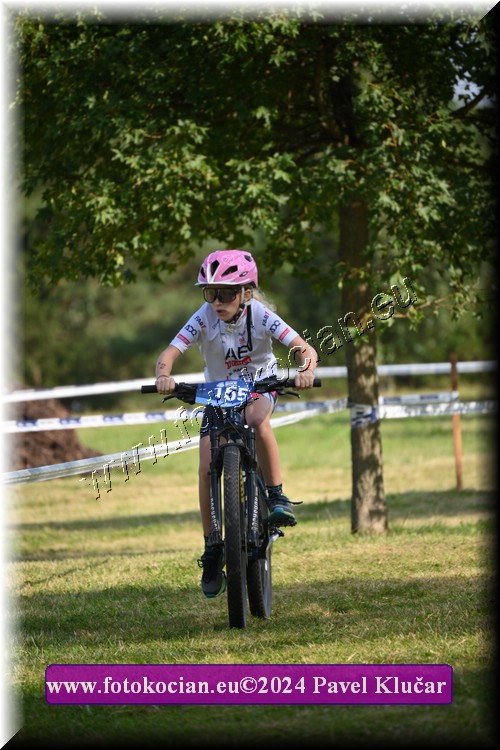 Náhled obrázku: 2024-2764-Caledna-.JPG