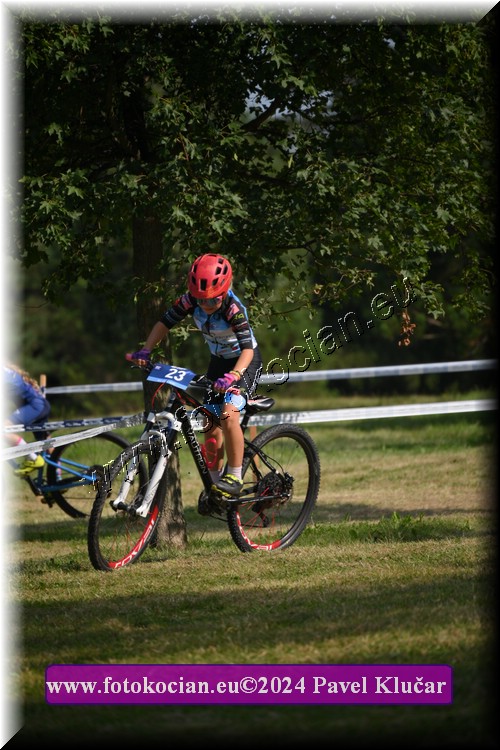 Náhled obrázku: 2024-2767-Caledna-.JPG