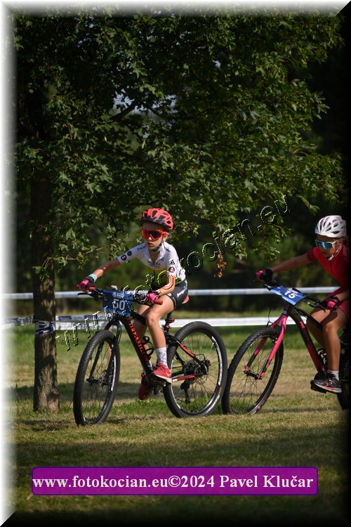 Náhled obrázku: 2024-2771-Caledna-.JPG