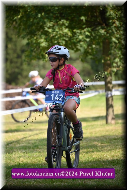 Náhled obrázku: 2024-2786-Caledna-.JPG