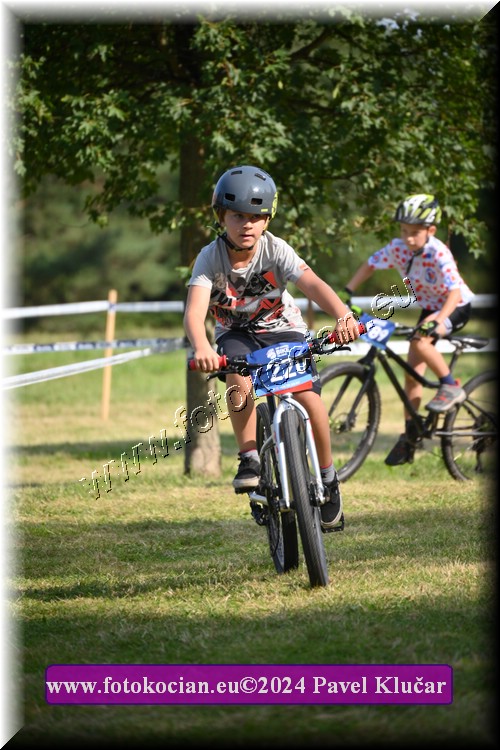 Náhled obrázku: 2024-2846-Caledna-.JPG