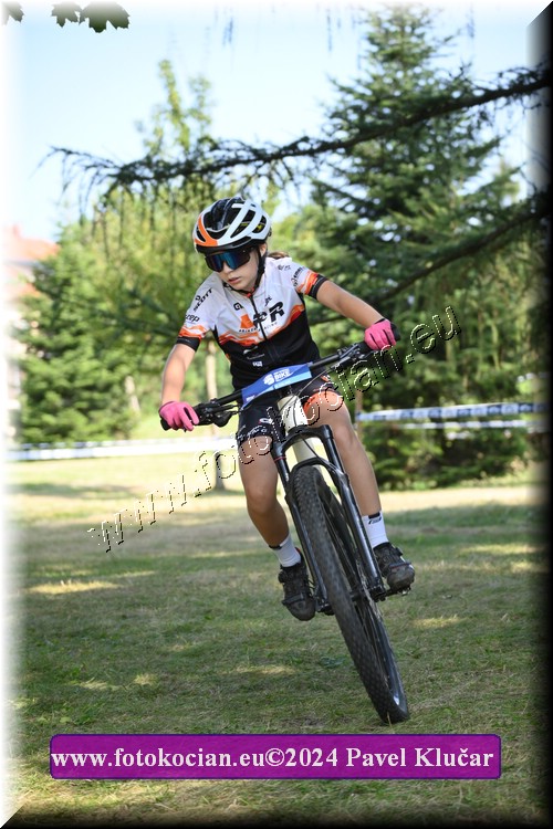 Náhled obrázku: 2024-2889-Caledna-.JPG