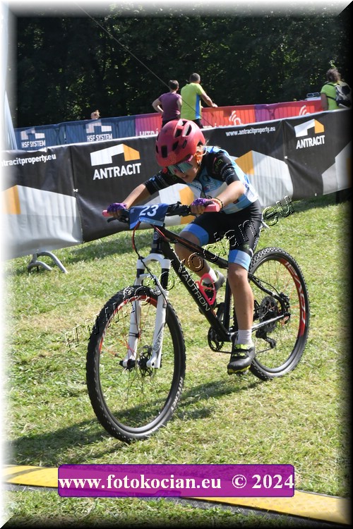 Náhled obrázku: 2024-1206-Caledna-.JPG