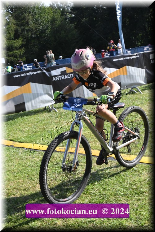 Náhled obrázku: 2024-1208-Caledna-.JPG