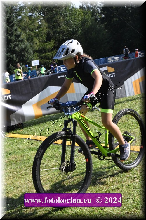 Náhled obrázku: 2024-1210-Caledna-.JPG