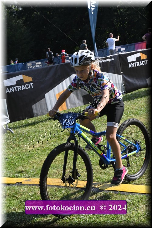 Náhled obrázku: 2024-1211-Caledna-.JPG