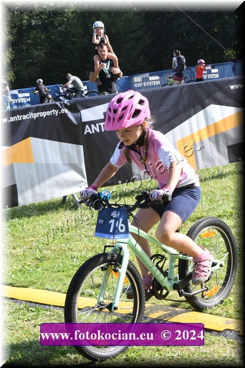 Náhled obrázku: 2024-1214-Caledna-.JPG