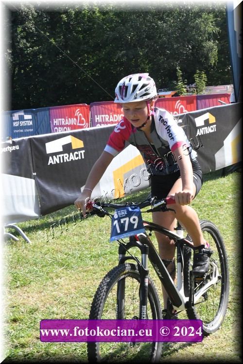 Náhled obrázku: 2024-1332-Caledna-.JPG