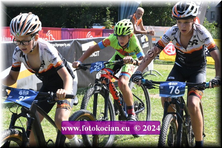 Náhled obrázku: 2024-1348-Caledna-.JPG