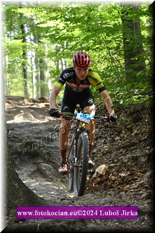 Náhled obrázku: 2024-6237-Sudety-11.JPG