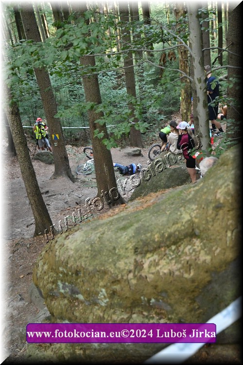 Náhled obrázku: 2024-6383-Sudety-60.JPG