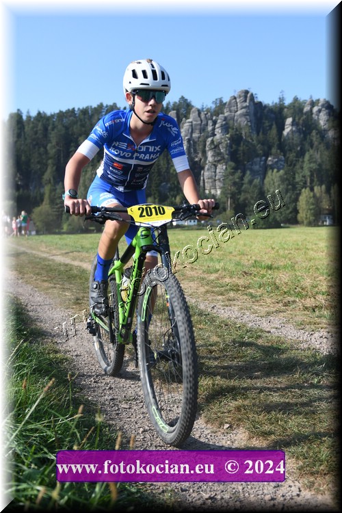 Náhled obrázku: 2024-1462-Sudety-2010.JPG