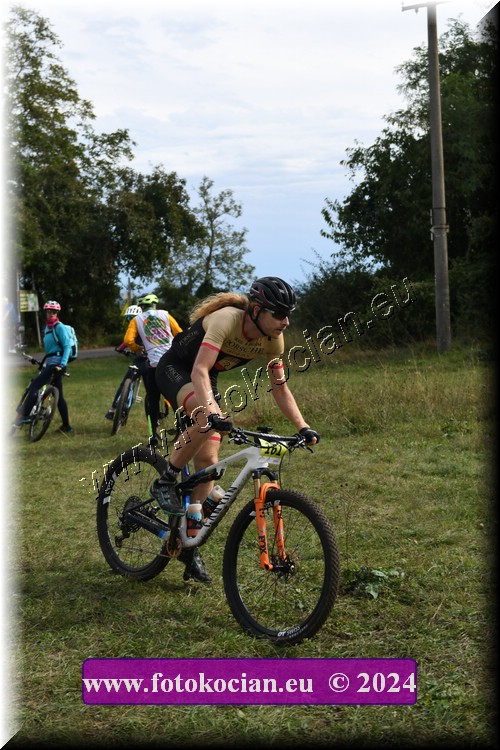 Náhled obrázku: 2024-1183-Valtice-161.JPG