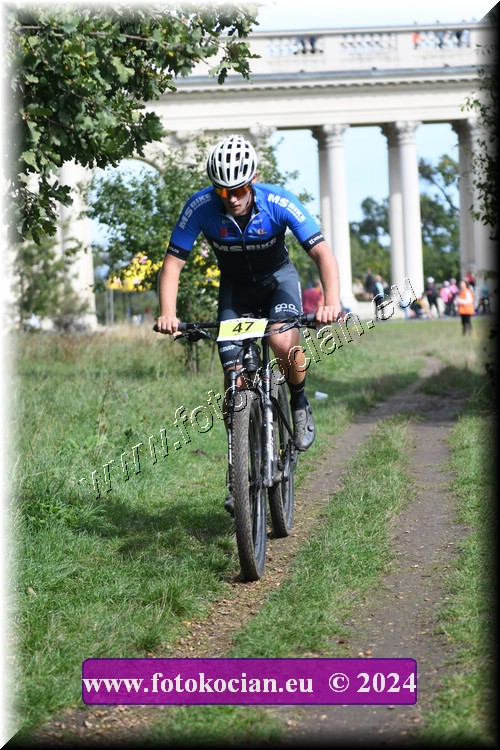 Náhled obrázku: 2024-1218-Valtice-47.JPG