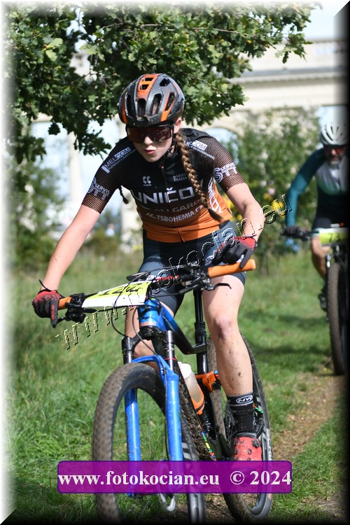 Náhled obrázku: 2024-1233-Valtice-122.JPG