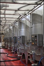 2024-2102-Valtice-.JPG
