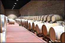 2024-2104-Valtice-.JPG