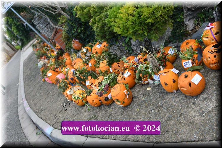 Náhled obrázku: 2024-2031-Valtice-.JPG