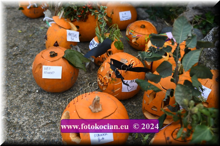 Náhled obrázku: 2024-2032-Valtice-.JPG