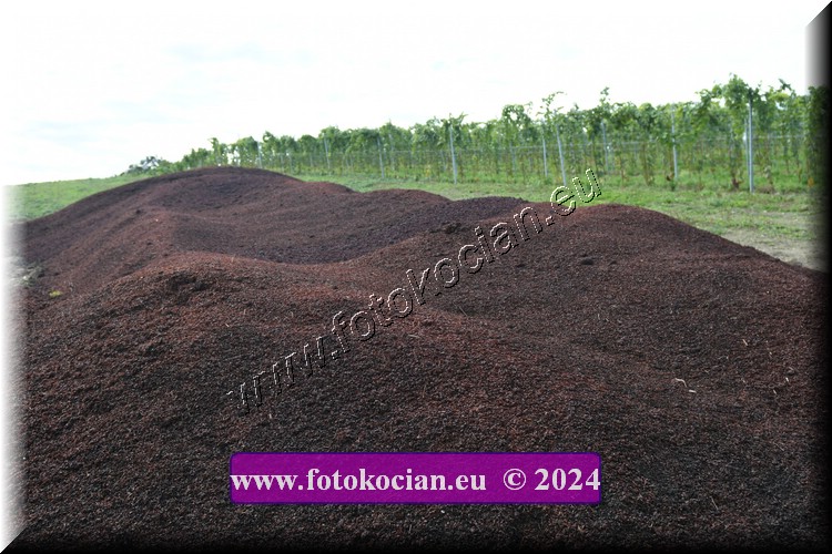 Náhled obrázku: 2024-2064-Valtice-.JPG