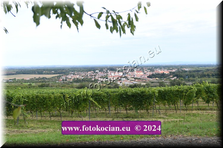 Náhled obrázku: 2024-2065-Valtice-.JPG