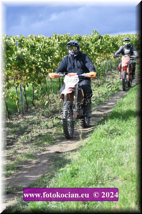 Náhled obrázku: 2024-2074-Valtice-.JPG