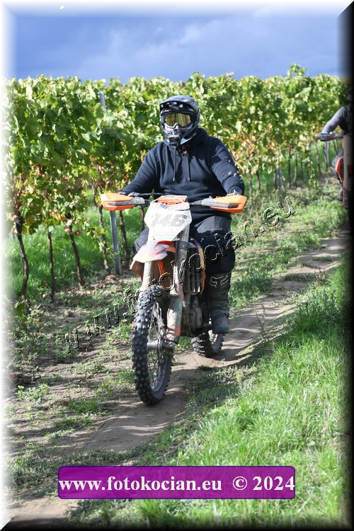 Náhled obrázku: 2024-2075-Valtice-.JPG